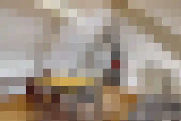 Hooilaan 8 De Kwakel thumbnail 17