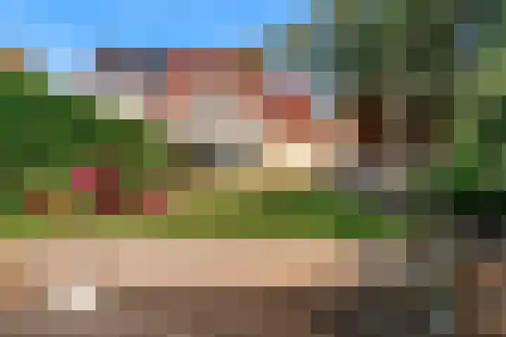 Hooilaan 8 De Kwakel thumbnail 18