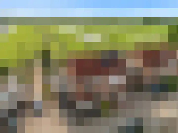 Hooilaan 8 De Kwakel foto 2