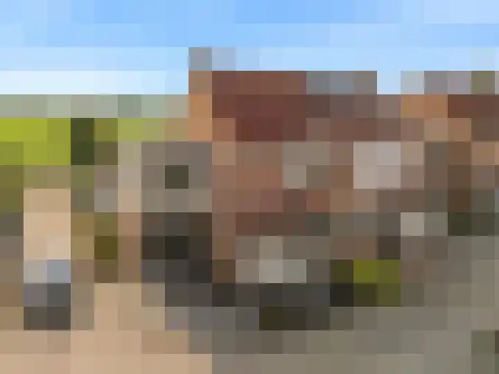 Hooilaan 8 De Kwakel thumbnail 27