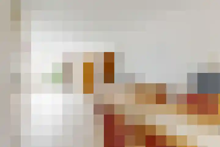Hooilaan 8 De Kwakel thumbnail 6