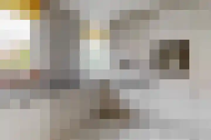 Hooilaan 8 De Kwakel thumbnail 7