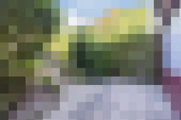 Hooilaan 95 Breda thumbnail 19