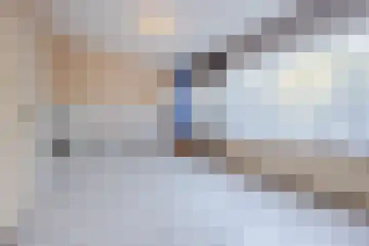 Hooilaan 95 Breda thumbnail 22