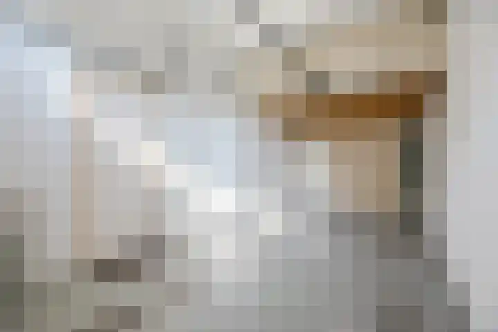 Hooilaan 95 Breda thumbnail 6