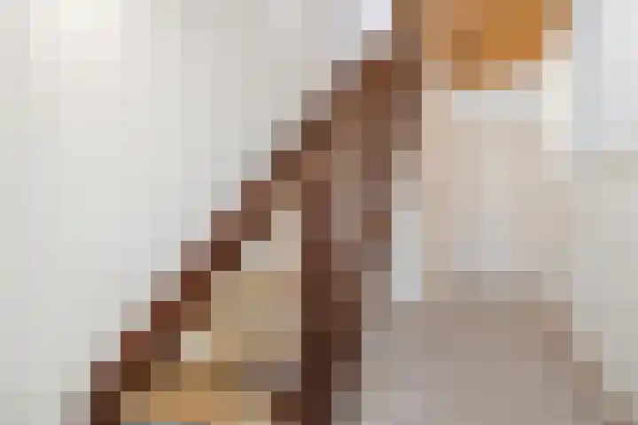 Hooilaan 95 Breda thumbnail 9