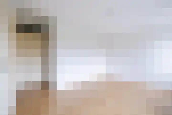 Hooiland 11 Drachten thumbnail 22