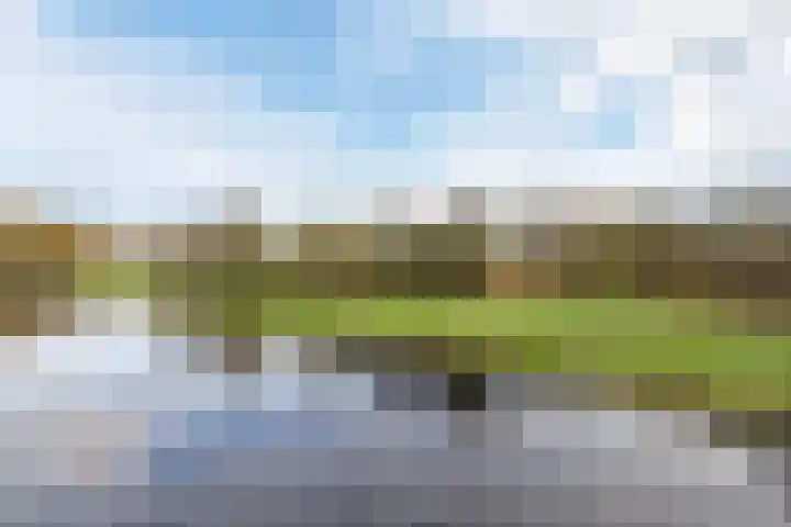 Hooiland 11 Drachten thumbnail 27