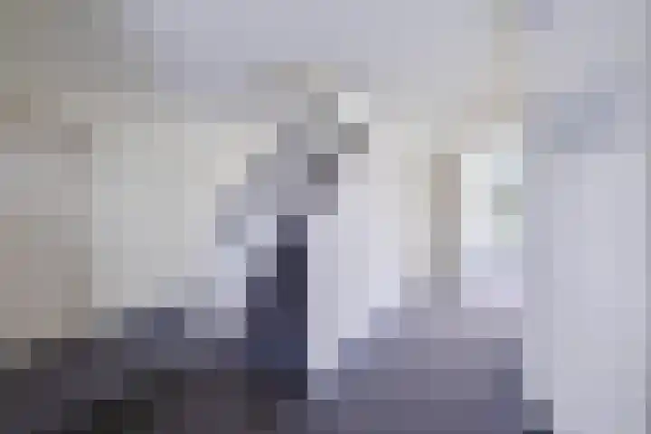 Hooiland 11 Drachten thumbnail 7