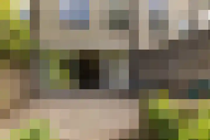 Hooiland 11 Schiedam thumbnail 18