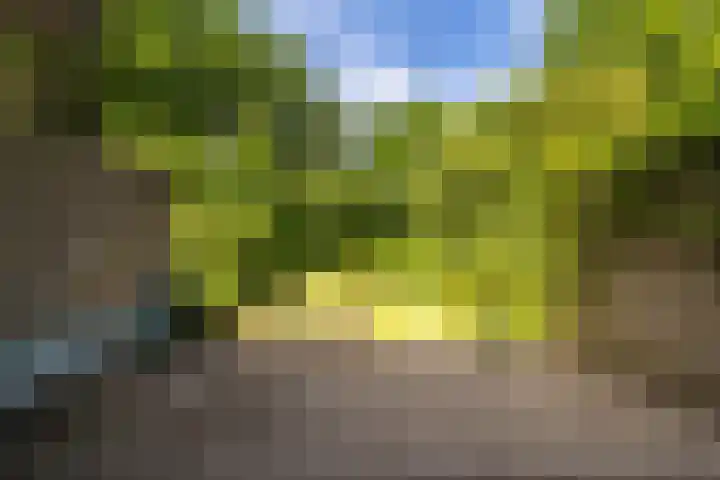 Hooiland 11 Schiedam thumbnail 19