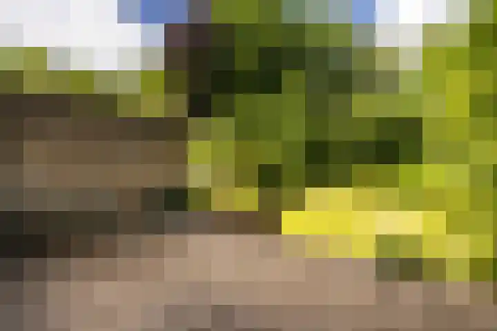Hooiland 11 Schiedam thumbnail 20