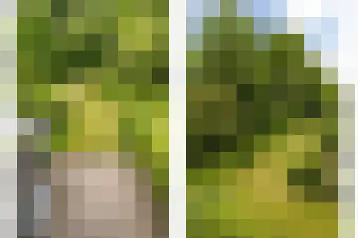 Hooiland 11 Schiedam thumbnail 21