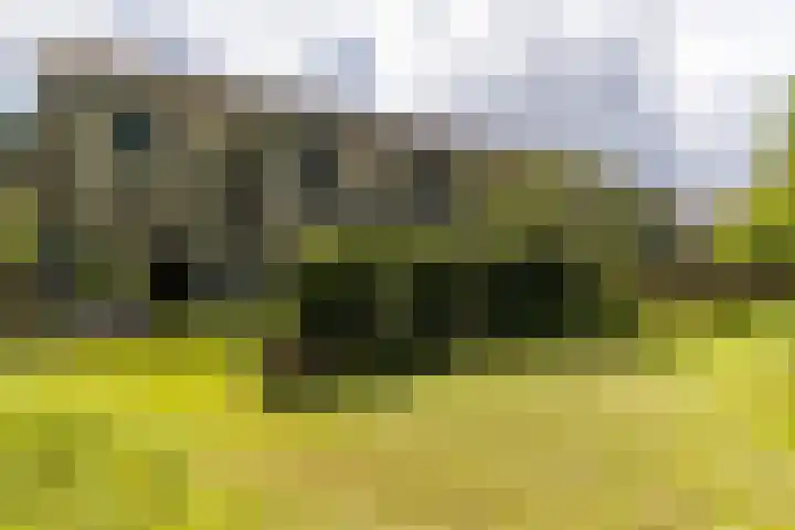Hooiland 11 Schiedam thumbnail 22