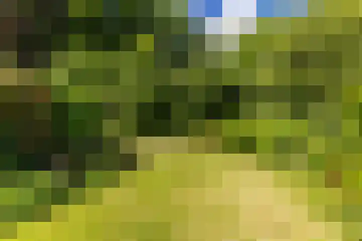 Hooiland 11 Schiedam thumbnail 23