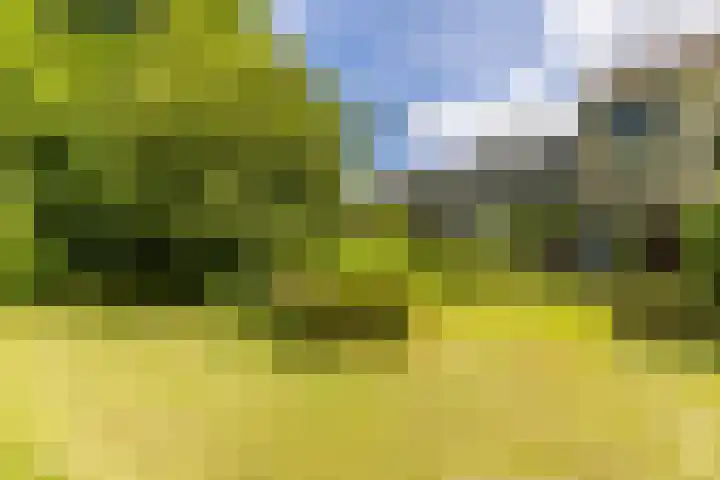 Hooiland 11 Schiedam thumbnail 24