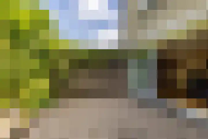 Hooiland 11 Schiedam thumbnail 25