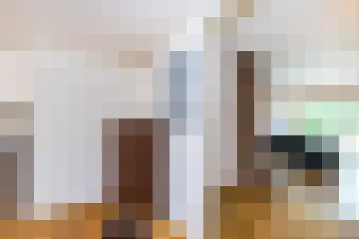 Hooiland 11 Schiedam thumbnail 27