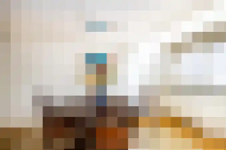 Hooiland 11 Schiedam thumbnail 32