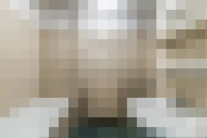 Hooiland 11 Schiedam thumbnail 42