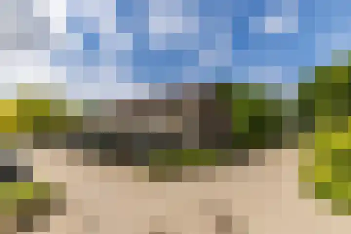 Hooiland 11 Schiedam thumbnail 5