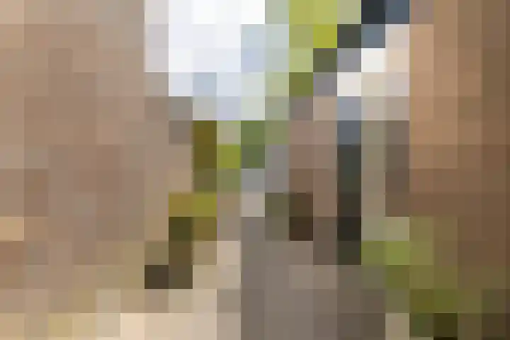 Hooiland 11 Schiedam thumbnail 51