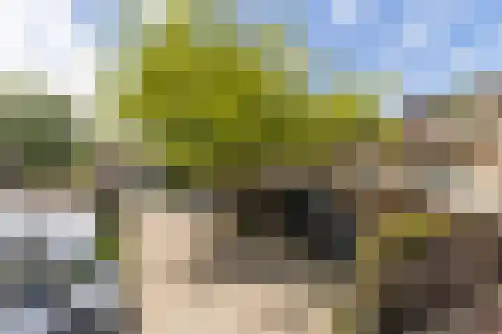 Hooiland 11 Schiedam thumbnail 57