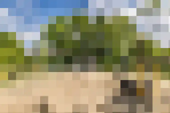 Hooiland 11 Schiedam thumbnail 58