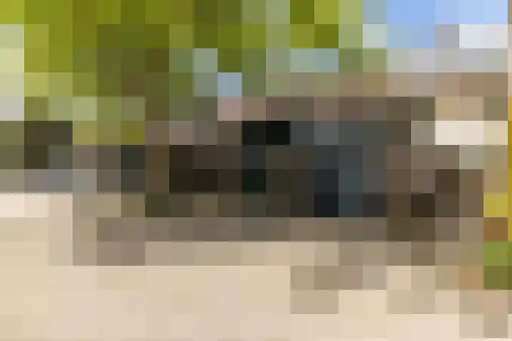 Hooiland 11 Schiedam thumbnail 6