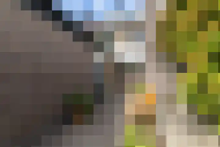 Hooiland 11 Schiedam thumbnail 8