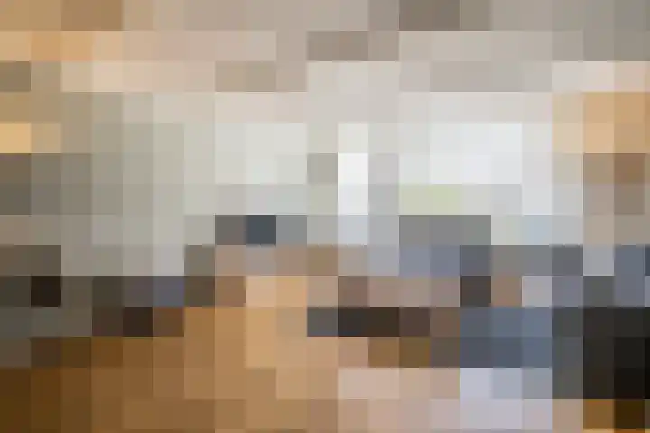 Hooiland 129 Wierden thumbnail 11