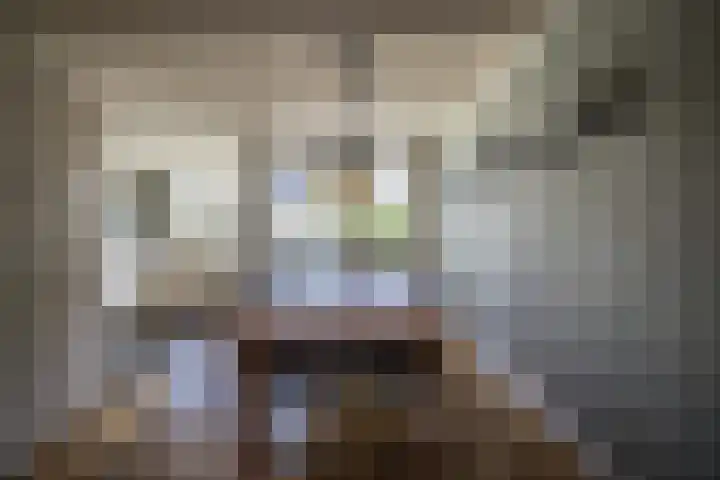 Hooiland 129 Wierden thumbnail 14