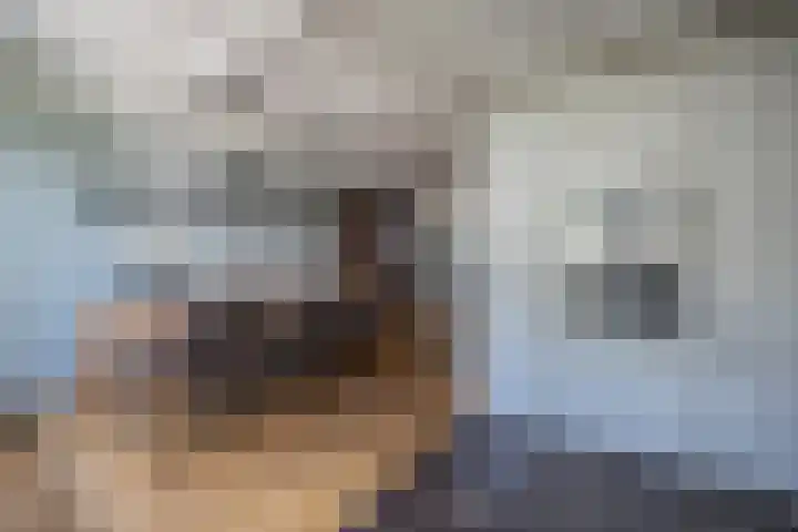 Hooiland 129 Wierden thumbnail 17
