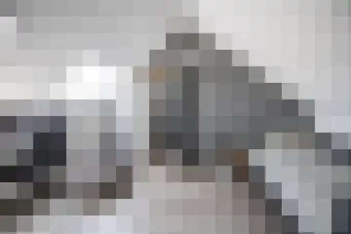 Hooiland 129 Wierden thumbnail 30