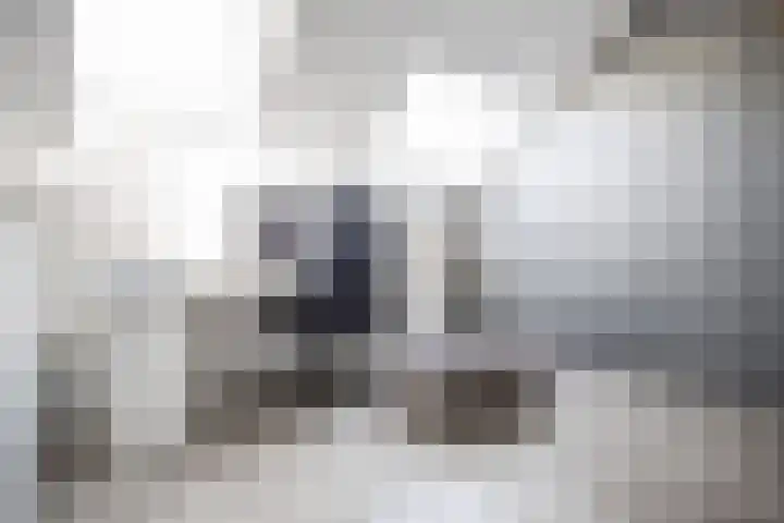 Hooiland 129 Wierden thumbnail 31