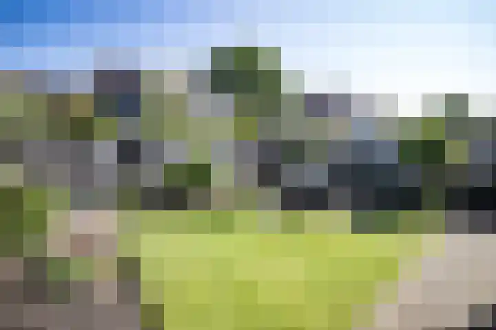 Hooiland 129 Wierden thumbnail 33