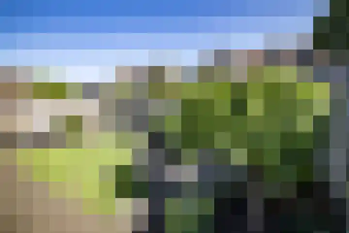 Hooiland 129 Wierden thumbnail 34