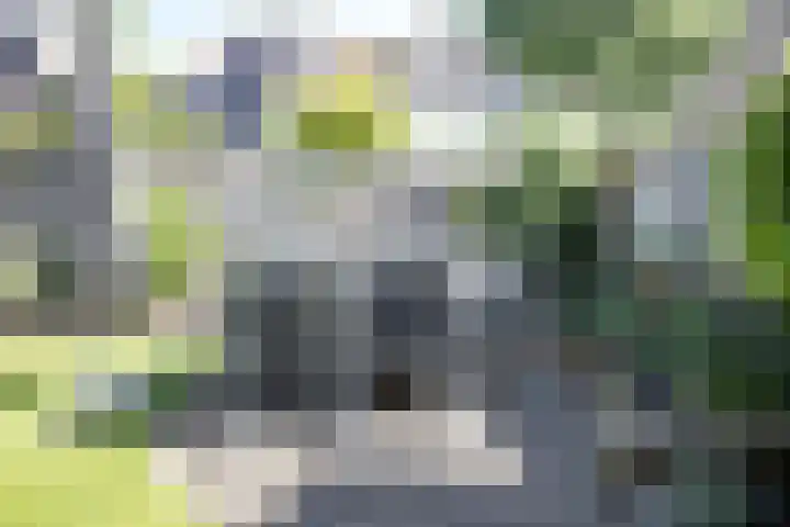 Hooiland 129 Wierden thumbnail 35