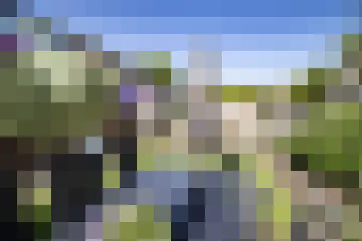 Hooiland 129 Wierden thumbnail 36