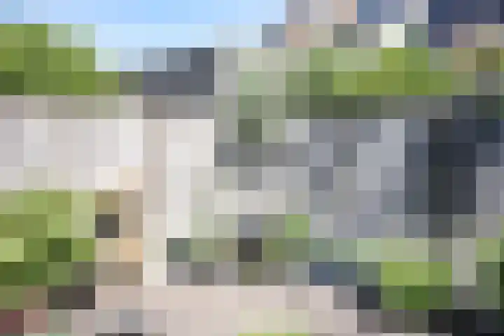 Hooiland 129 Wierden thumbnail 39