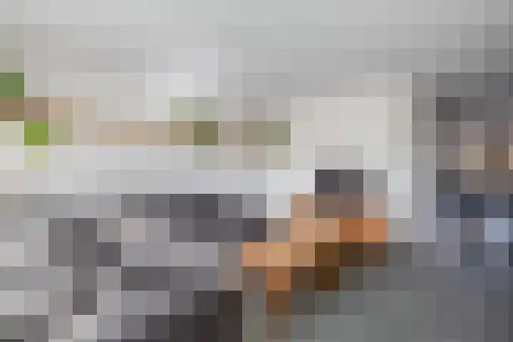 Hooiland 129 Wierden thumbnail 43