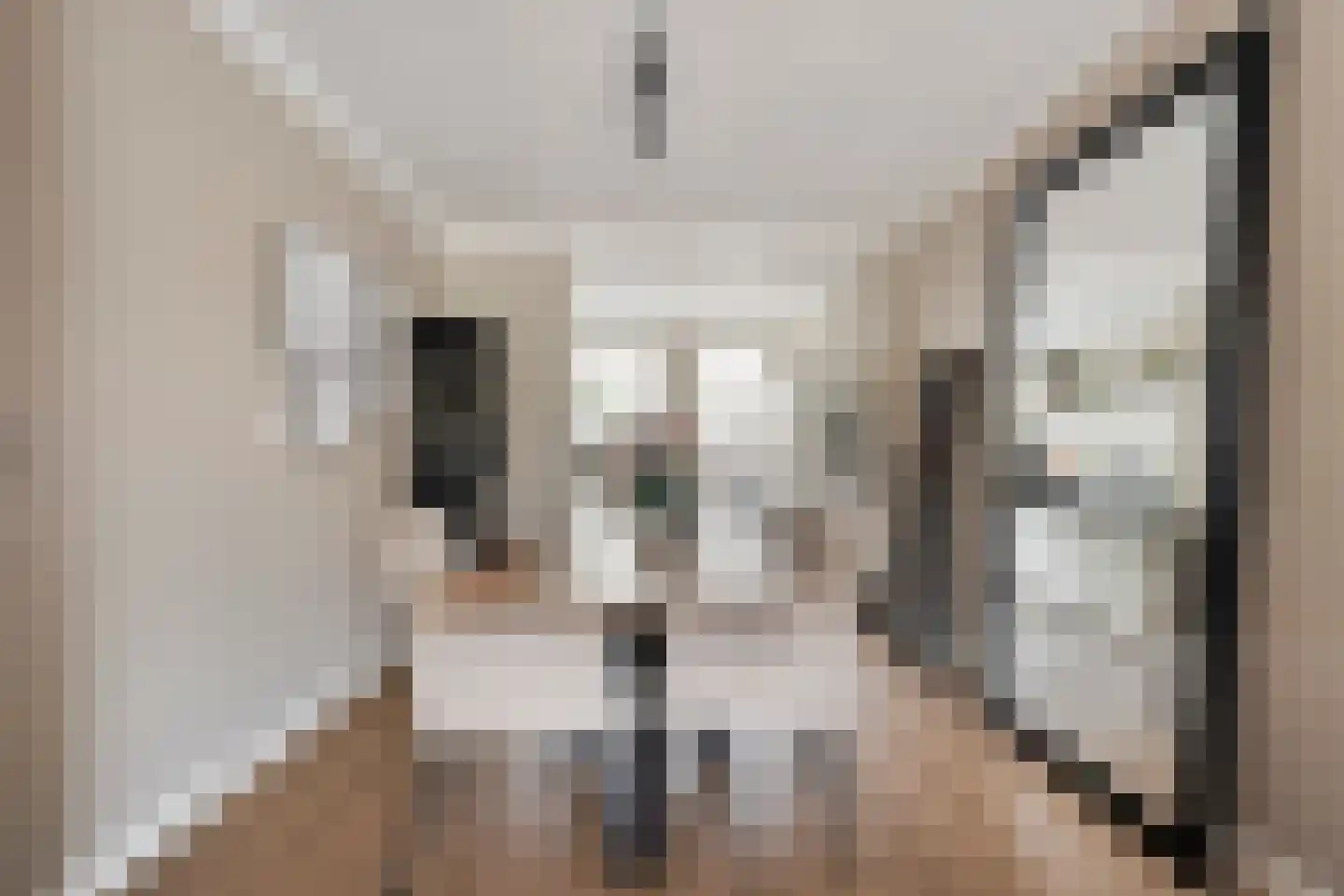 Hooiland 131 Wierden thumbnail 11