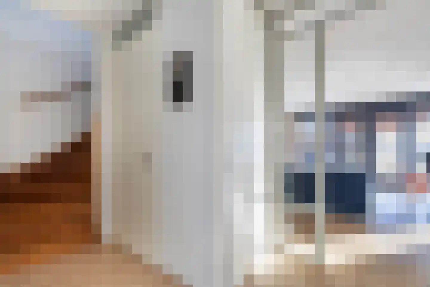 Hooiland 16 Stolwijk thumbnail 14