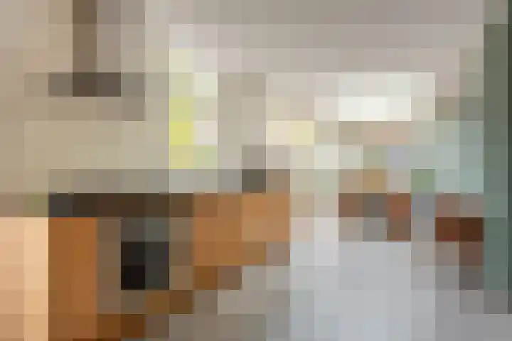 Hooiland 18 Geldrop thumbnail 16