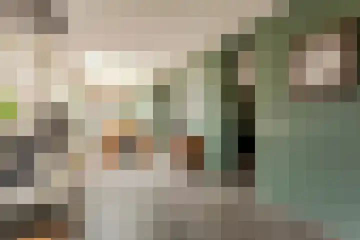 Hooiland 18 Geldrop thumbnail 17