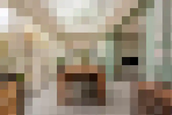 Hooiland 18 Geldrop thumbnail 18
