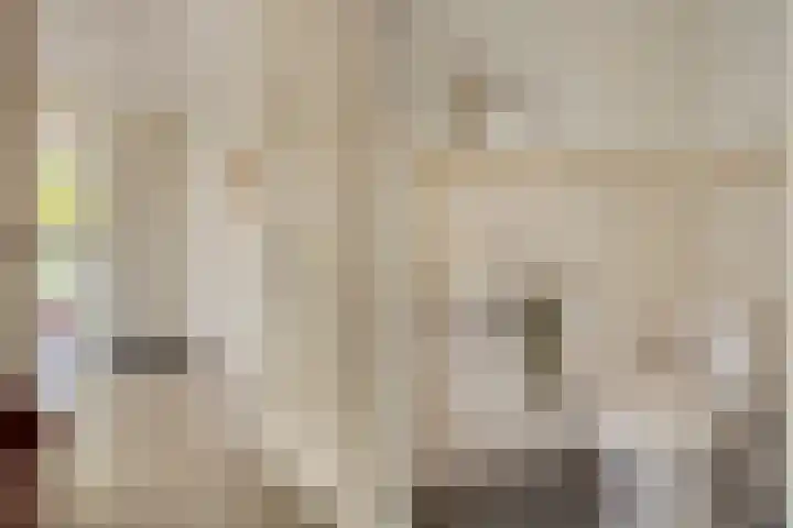 Hooiland 18 Geldrop thumbnail 19