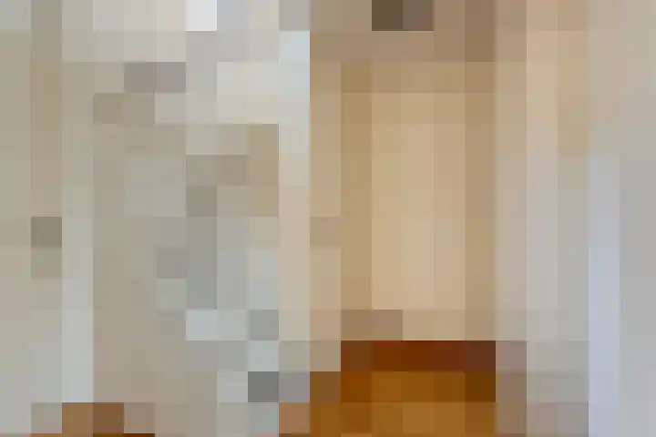 Hooiland 18 Geldrop thumbnail 21