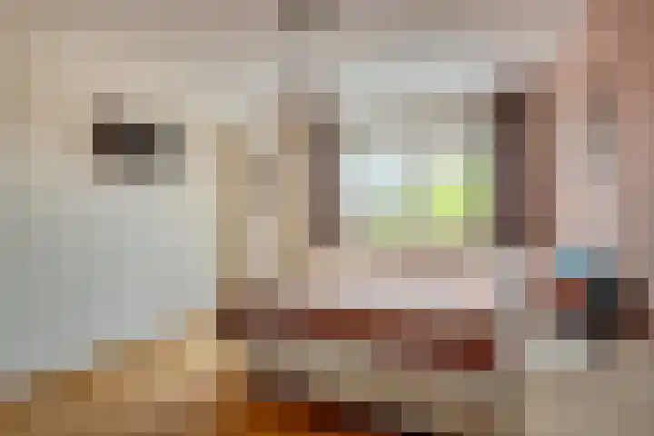 Hooiland 18 Geldrop thumbnail 23