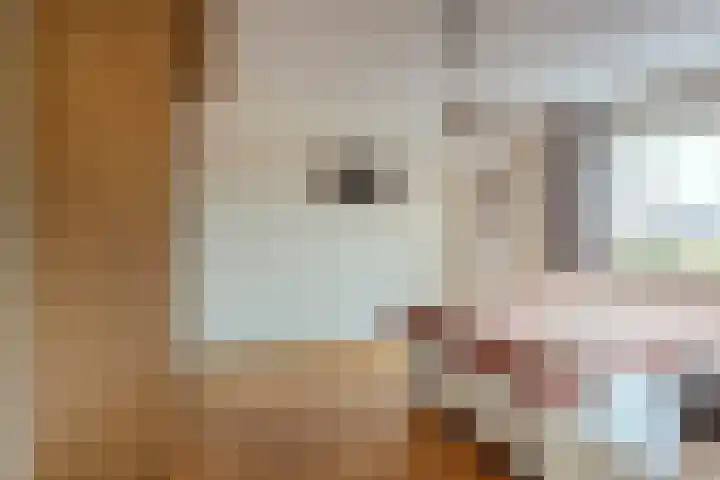 Hooiland 18 Geldrop thumbnail 24